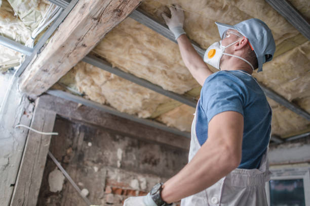 Best Eco-Friendly Insulation in Ottawa Hills, OH