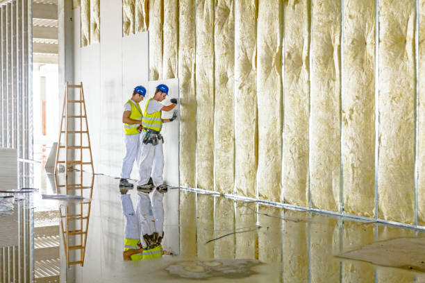 Best Cellulose Insulation in Ottawa Hills, OH